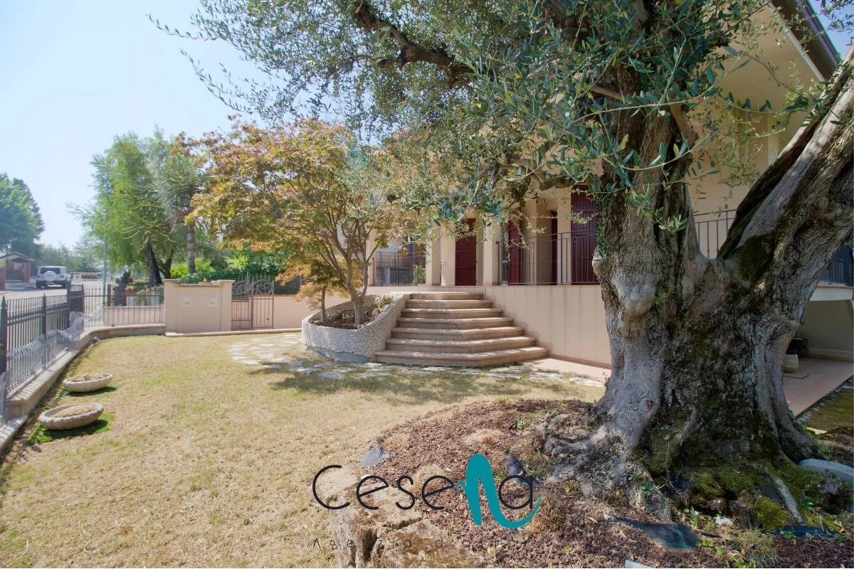 1_1 Rif 492 | Magnifica villa pronta da vivere a Badia di Montiano