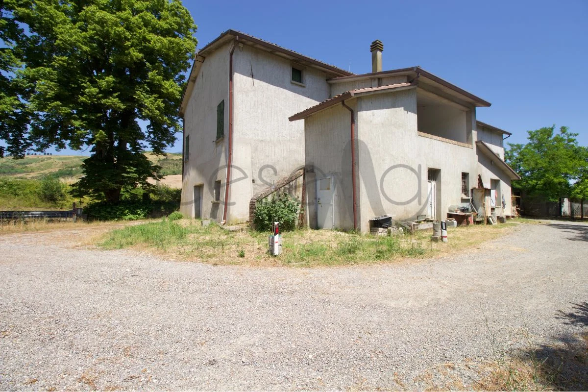 Rif 550 | Rustico dagli spazi generosi in zona Meldola