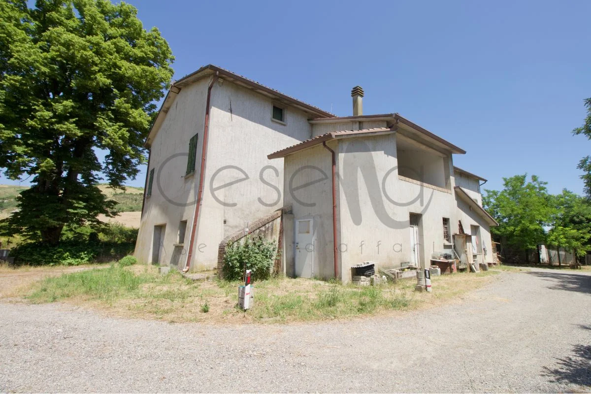 Rif 550 | Rustico dagli spazi generosi in zona Meldola