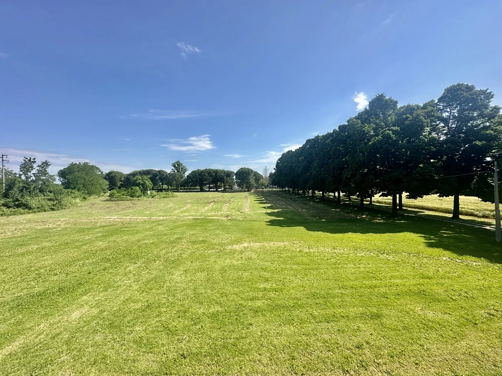 3. parco Rif 572 | Villa con grande parco e terreno a Forlimpopoli