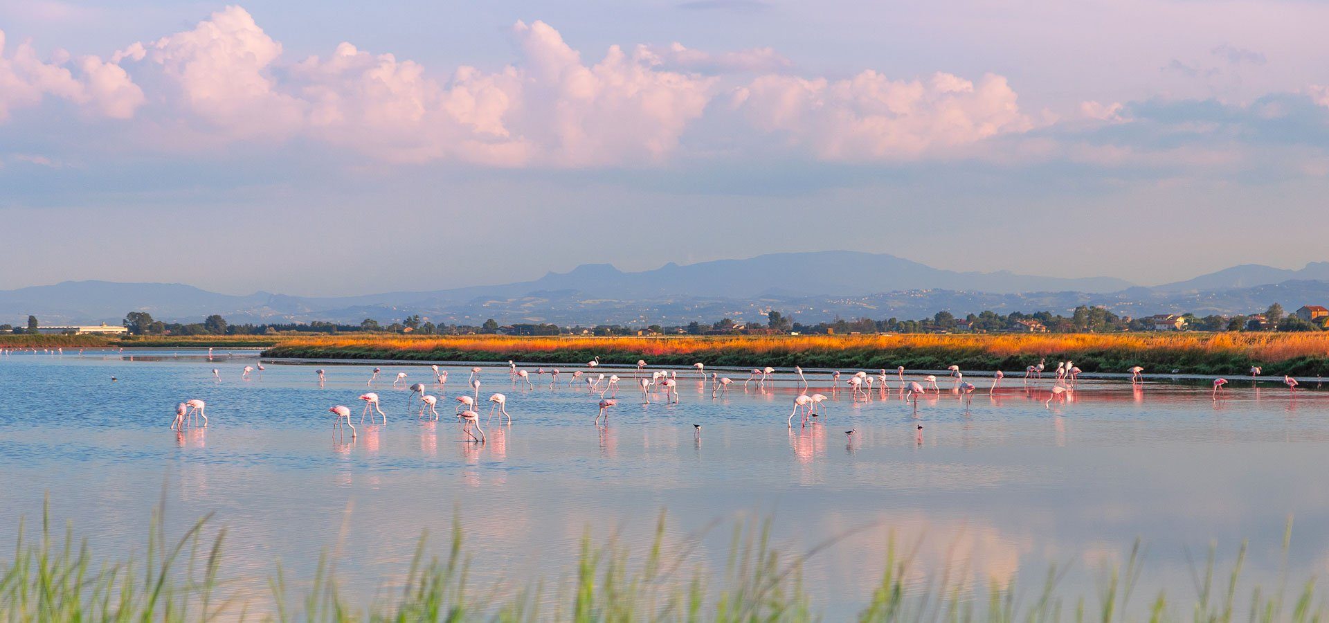 saline-cervia